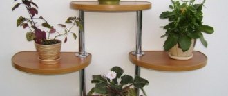 (90 photos) DIY flower shelves