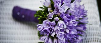 bouquet of purple flowers