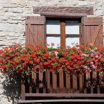 Flowers on the balcony, sunny side