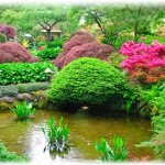 Ornamental plants