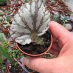 How to propagate - methods