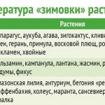 какая температура для комнатных растений