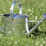 watering can for flowers