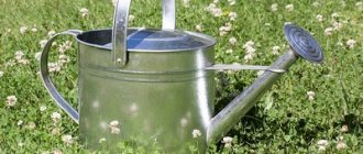 watering can for flowers