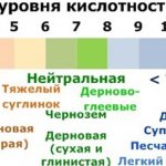 РН-МЕТРЫ: КАК ИСПОЛЬЗОВАТЬ