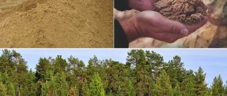 Composition-and-types-of-soil-for-plants-2