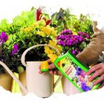 fertilizer for plants