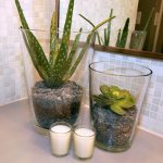 yH5BAEAAAAALAAAAAABAAEAAAIBRAA7 - Is it possible to grow something other than mold in the bathroom. 10 Best Plants for the Bathroom 