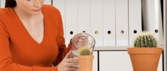 Woman watering a cactus